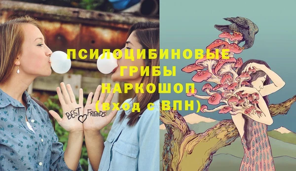 крисы Балахна