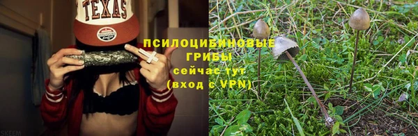 крисы Балахна