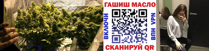 Дистиллят ТГК вейп  как найти закладки  Няндома 